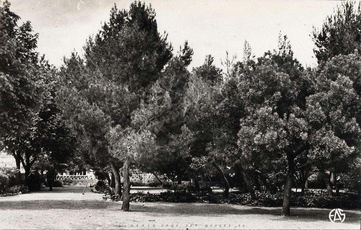 Aflou 506- Jardin public COLLECTION DES AMIS DE ND DE SANTA CRUZ.jpg